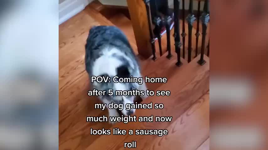 Donald Trump S Tax Cuts The Misleading 22 Trillion Debt And